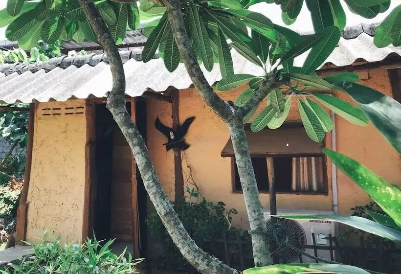هتل Tiddin Resort & Garden