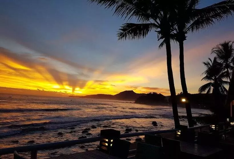 Bed and Breakfast 77 Sunset Plaza