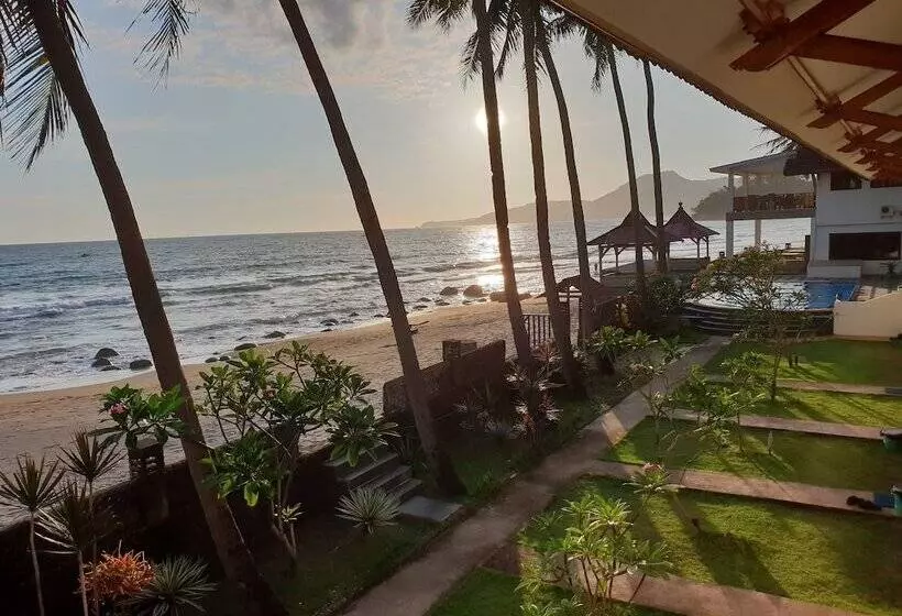 Bed and Breakfast 77 Sunset Plaza