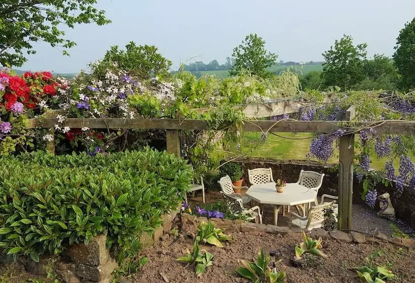 Bed and Breakfast Lowerfield House