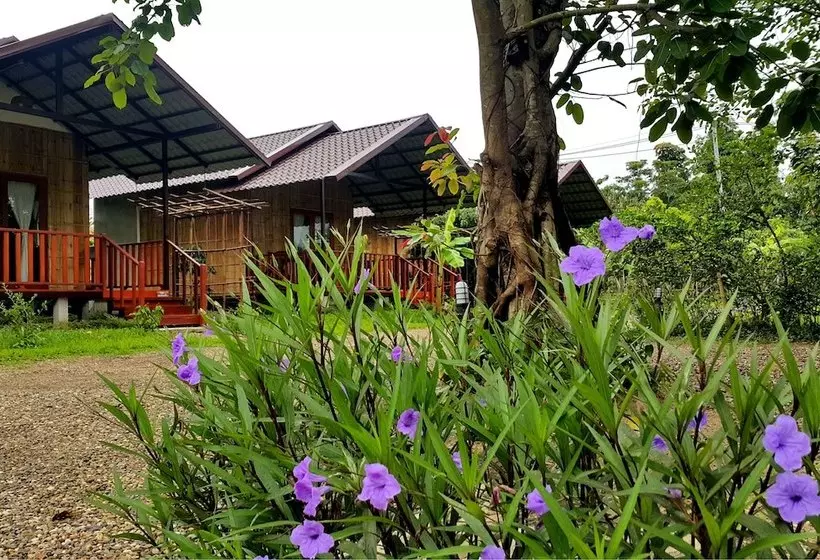 Hostelli Chiang Dao Reset
