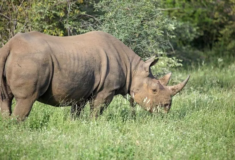 Hotelli Garonga Safari Camp