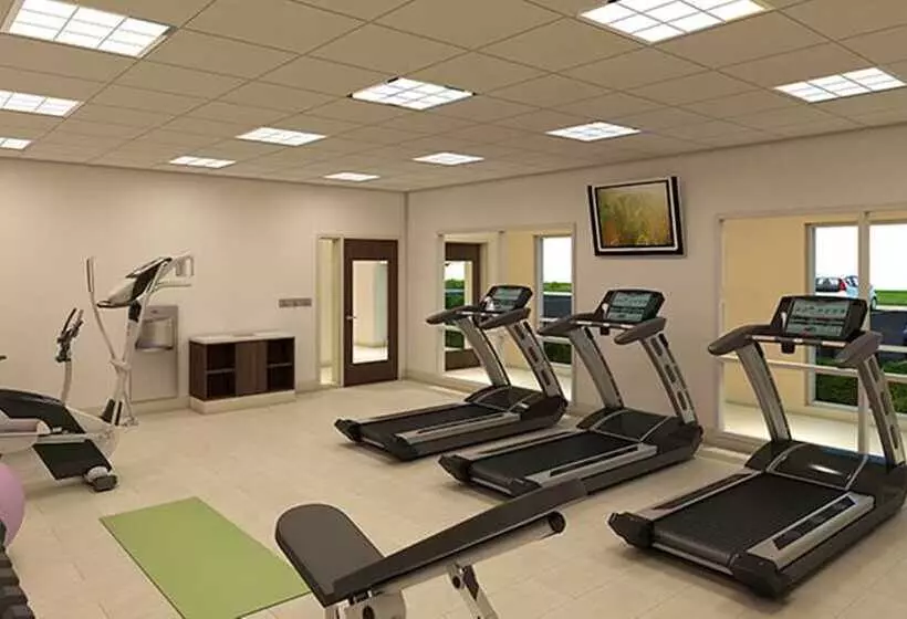 Hotelli Holiday Inn Express & Suites   Forney, An Ihg