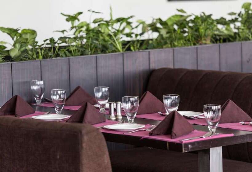 فندق Mm Continental