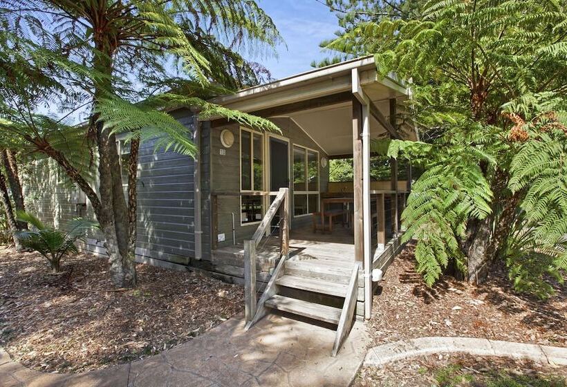 ホテル Seven Mile Beach Holiday Park