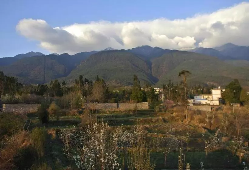 تختخواب و صبحانه Hidden Garden Dali