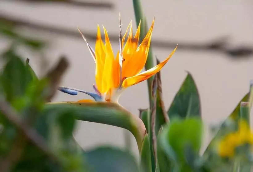 تختخواب و صبحانه Kramersdorf Guesthouse