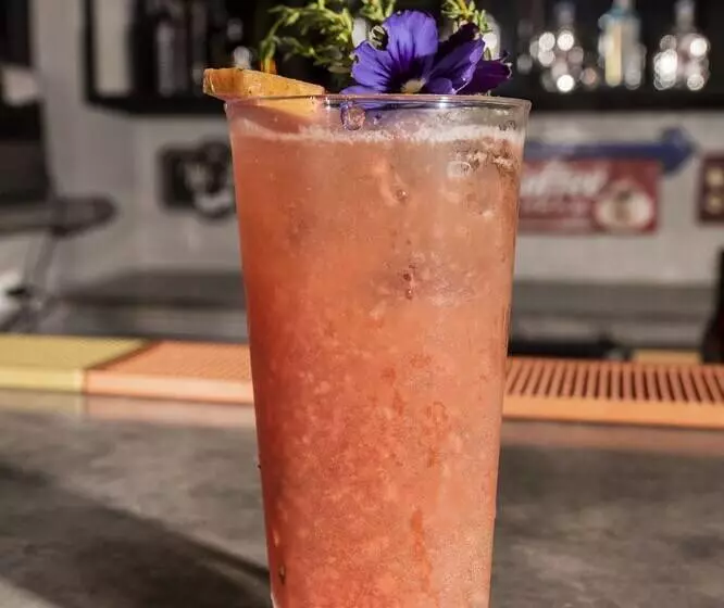 Medellin Vibes Hostel