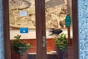 호텔 Pensión Oria