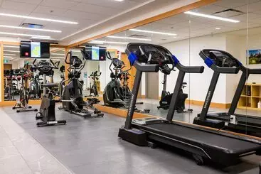 Hotel Buffalo Mountain Lodge