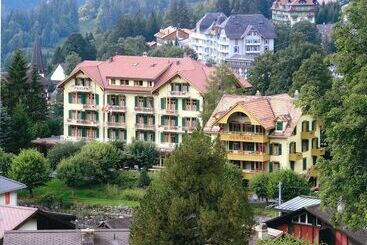 Historic Hotel Falken