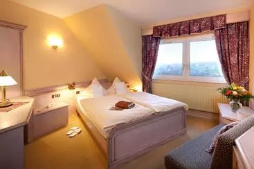 호텔 Spa Hôtel Restaurant Au Lion D Or