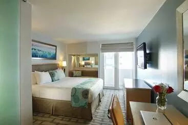 호텔 The Executive