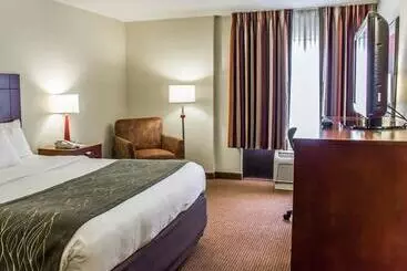 Szálloda Comfort Inn Fayetteville West Near Fort Liberty