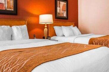 Отель Comfort Inn & Suites And Conference Center
