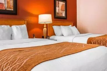 Отель Comfort Inn & Suites And Conference Center