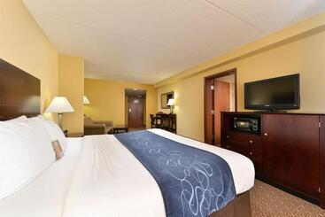 Hotel Comfort Suites Near Gettysburg Battlefield Visitor Center