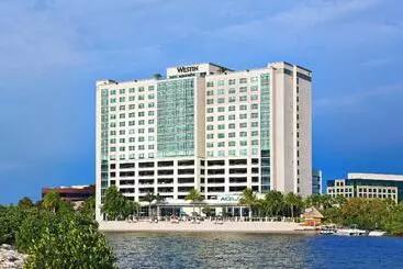 Otel The Westin Tampa Bay