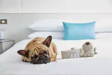 فندق Renaissance Charlotte Southpark