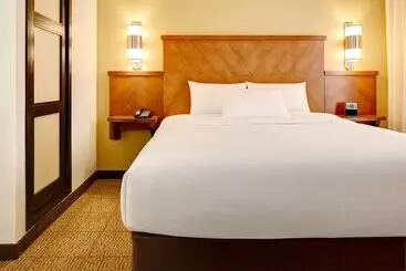 فندق Hyatt Place Atlanta Downtown