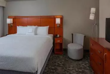 ホテル Courtyard Orlando International Drive/convention Center