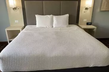 호텔 Best Western Morton Inn