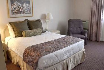 فندق Safari Inn Downtown