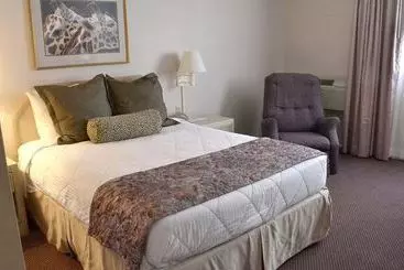 فندق Safari Inn Downtown