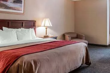 בית מלון כפרי Comfort Inn Livonia