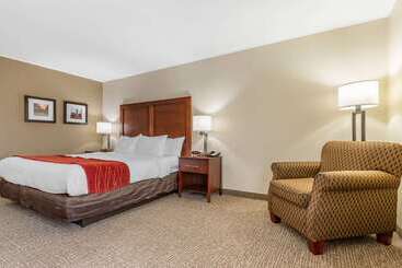 Otel Comfort Inn & Suites Clemson University Area