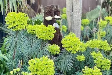 מוטל Pacific Harbour Villas