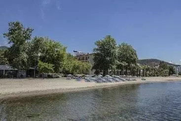 Hotel Arteka