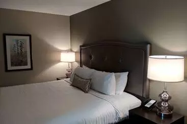 فندق Best Western Swan Castle Inn