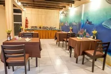 Hotel South Ari Inn