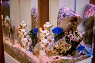 هتل Nagahama Beach Resort Kanon