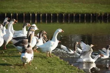 Conferentiehotel Drienerburght