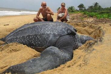 شقة فندقية Roca Mar Playa Bonita