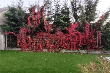 관광객 아파트 Xlsuite Apartment Deluxe