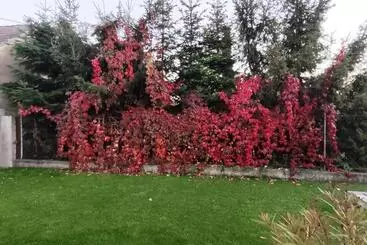 Ferienwohnungen Xlsuite Apartment Deluxe