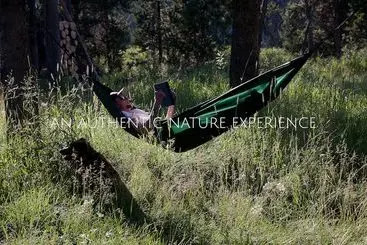 ホテル Bedroll And Breakfast  Campground