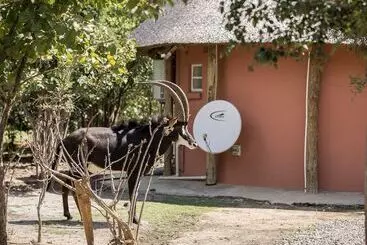 Hotel Mokorro Game Ranch And Lodge