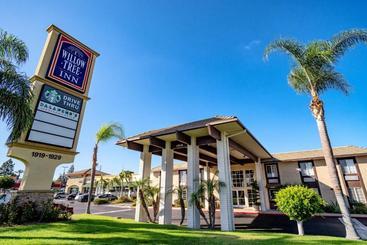 汽车旅馆  Willow Tree Inn