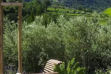 B&b Patios Des Vignes