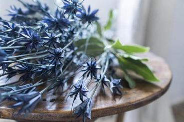 Casa Rural Mas El Mir