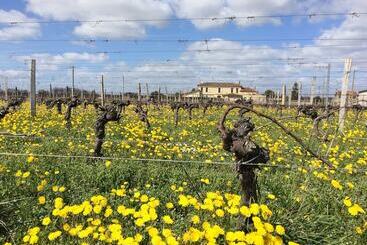 پانسیون Château La Renommée
