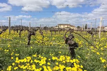 Pensionat Château La Renommée
