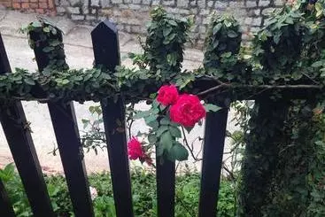 Pension Sol House Dalat