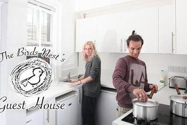 The Birds Nest Hostel