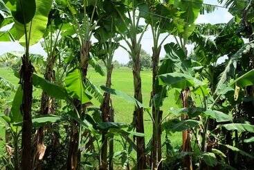 هتل Ai Kham Nonghan View