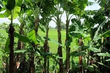 ホテル Ai Kham Nonghan View